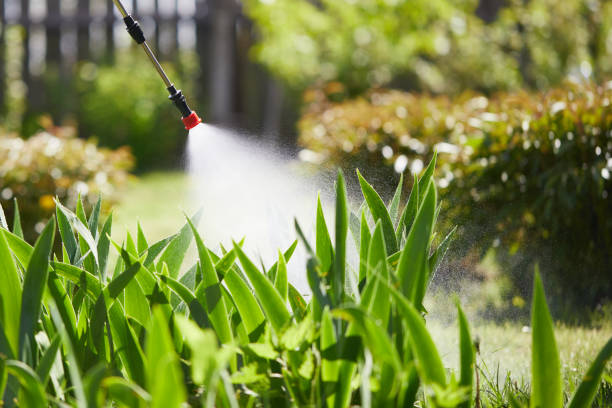 24/7 Emergency Ant Control experts in Barberton, WA