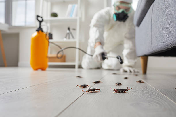 Trusted Fumigation Services service in Barberton, WA - Nex Pest Control