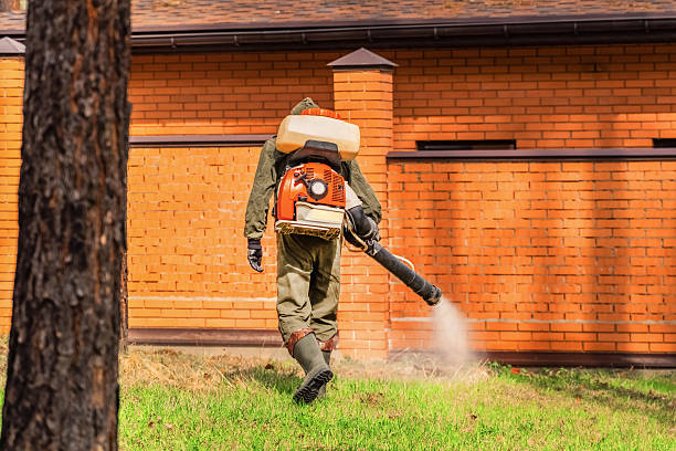 Trusted Mosquito Control service in Barberton, WA - Nex Pest Control